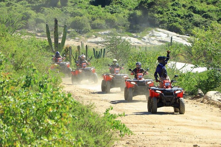 Cabo ATV and Camel Beach Combo with Tequila Tasting photo 3