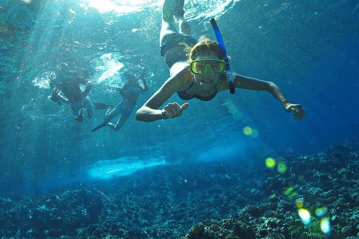 Islas Marietas Full-Day Catamaran: Snorkel, Kayak & Wildlife from Puerto Vallarta photo 5
