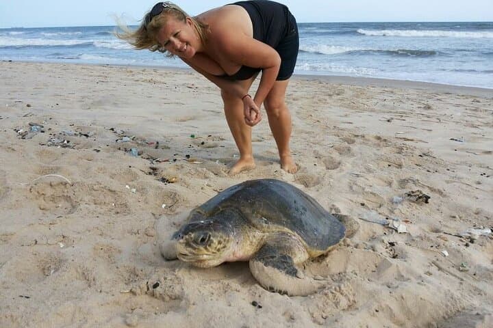 5-Day West Coast Retreat: Private Beach Tour from Accra photo 2