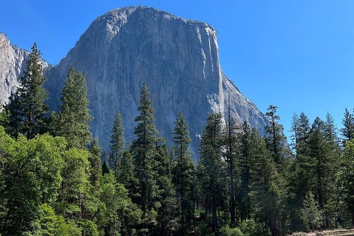Yosemite Full-Day Private Tour — Glacier Point & Valley Highlights photo 4