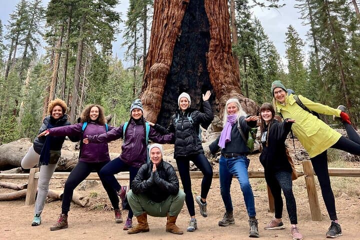 Yosemite Full-Day Private Tour — Glacier Point & Valley Highlights photo 3