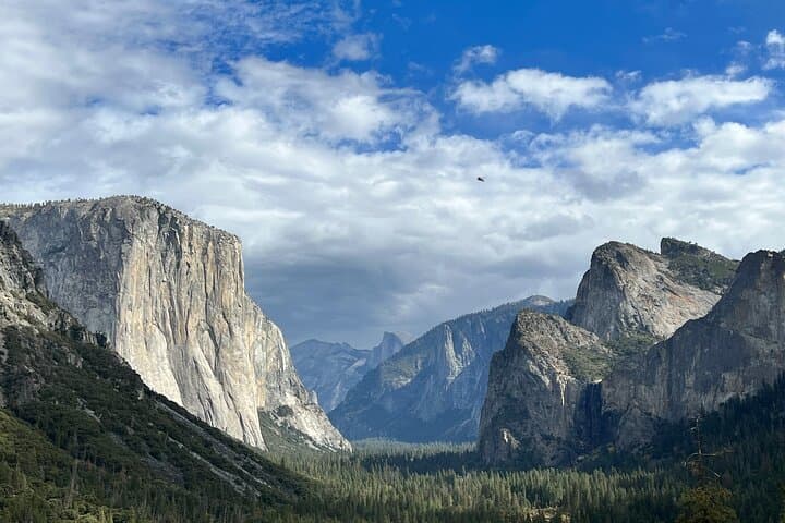 Yosemite Full-Day Private Tour — Glacier Point & Valley Highlights photo 2