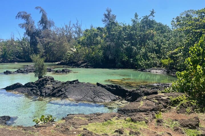 Snorkel Richardson Ocean Park: Turtles and the Black Sand Lagoon Near Hilo photo 6