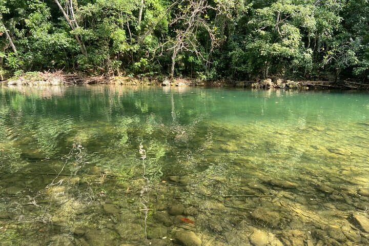 Dunns River Falls & Blue Hole: Private Day Trip from Montego Bay photo 3