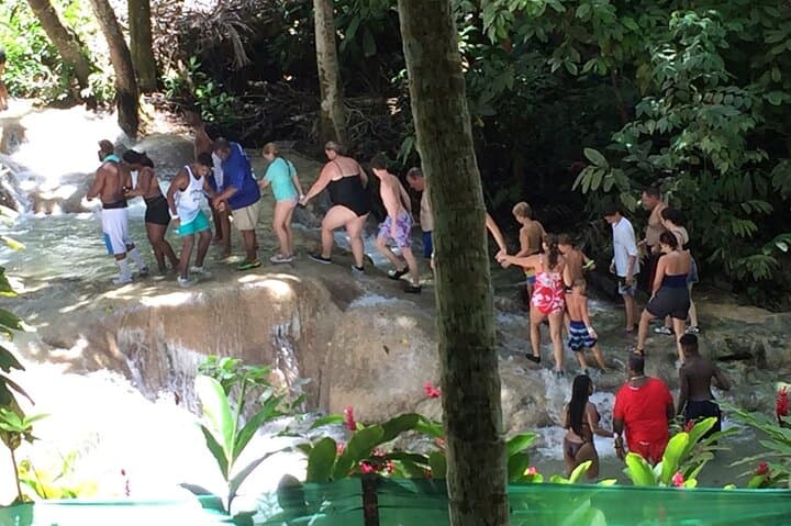 Dunns River Falls & Blue Hole: Private Day Trip from Montego Bay photo 6