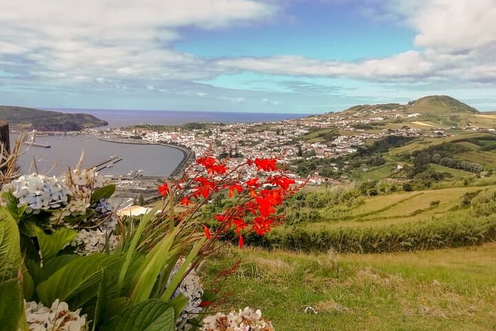 Faial Island Half-Day Tour — Caldeira, Capelinhos & Horta Views photo 3
