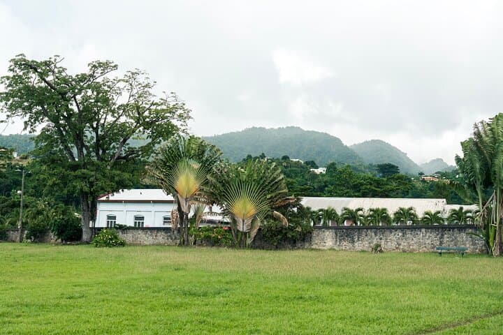 Private Half-Day Roseau Nature Tour: Botanical Gardens, Morne Bruce & Trafalgar Falls photo 2