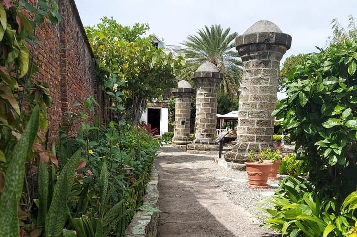 Best of Antigua: Half-Day Cultural & Coastal Van Tour photo 6