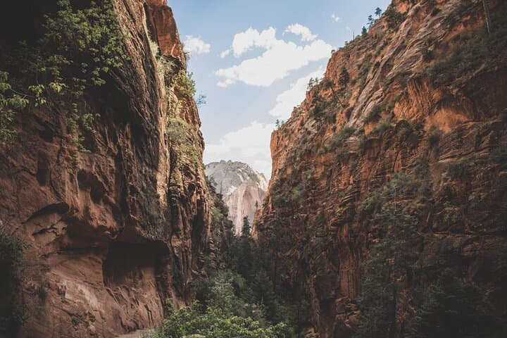 Zion Narrows Full-Day Small-Group Hike: Temple of Sinawava to the Virgin River photo 4