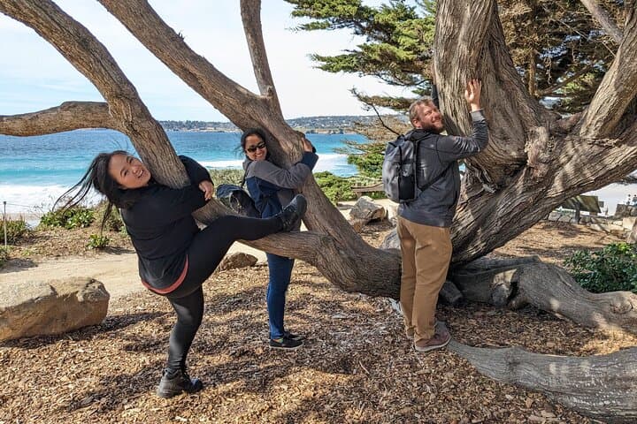 Explore La Jolla’s Hidden Gems with the La Jolla Jig Scavenger Hunt photo 4