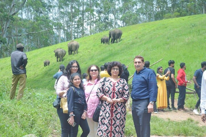5-Day Private Kerala Tour: Munnar, Thekkady & Alleppey Backwaters photo 2