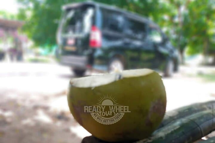 Negril Day Trip: Rick's Cafe, Seven Mile Beach & Farm Herb Tour from Montego Bay photo 2