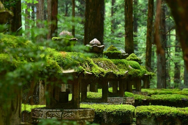 Private Mt. Koya Day Trip from Osaka — 8‑Hour Custom Drive to Koyasan