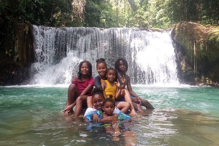 South Coast Tour: YS Falls, Black River Safari & Appleton Rum Visit