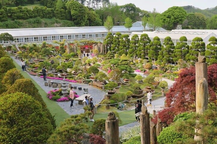 Beartree Park: Sejong Arboretum & Bear Sanctuary Admission photo 4