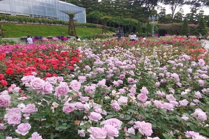 Beartree Park: Sejong Arboretum & Bear Sanctuary Admission photo 5