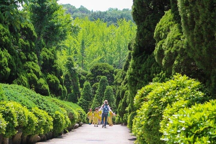 Beartree Park: Sejong Arboretum & Bear Sanctuary Admission photo 6