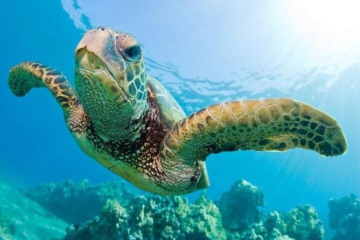 Bali ATV Quad Ride and Blue Lagoon Snorkeling Adventure photo 5