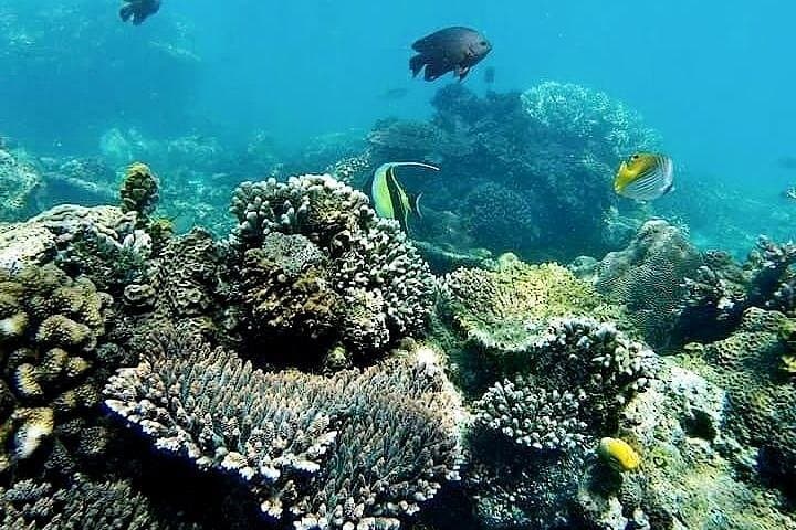 Bali ATV Quad Ride and Blue Lagoon Snorkeling Adventure