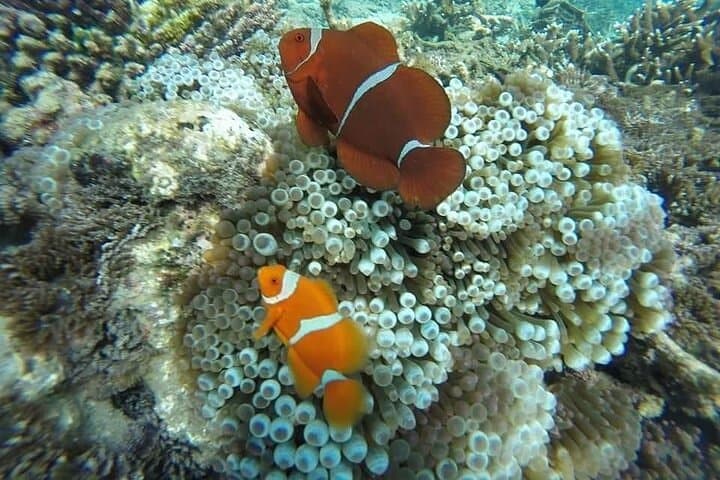 Bali ATV Quad Ride and Blue Lagoon Snorkeling Adventure photo 6