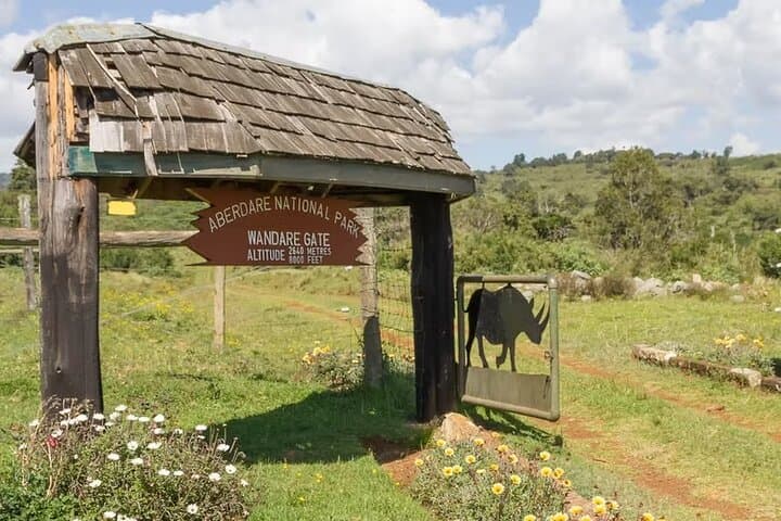 Two-Day Aberdare Luxury Lodge Safari — Night Game Viewing at Treetops & The Ark photo 2