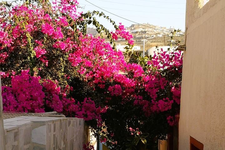 Easy Walks in Santorini: Private Half-Day Oia, Firostefani & Kamari Stroll photo 2