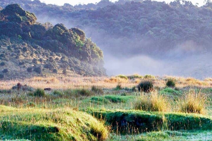 Horton Plains & World's End Guided Trek from Nuwara Eliya photo 3