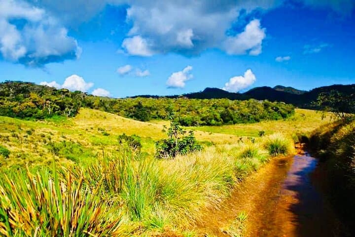 Horton Plains & World's End Guided Trek from Nuwara Eliya photo 4