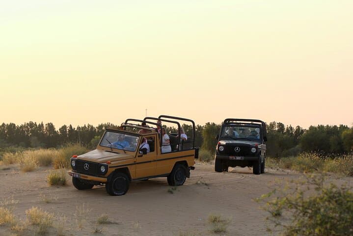 Evening Heritage Safari in Al Marmoom: Vintage G-Class Desert Experience photo 5