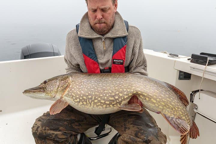 Private Fishing Adventure on Lake Vänern — Pike, Trout & Salmon Trolling photo 3