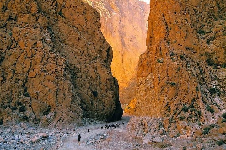 8-Day Private Morocco Tour from Marrakech: Atlas Passes, Ait Ben Haddou & Sahara Nights photo 1