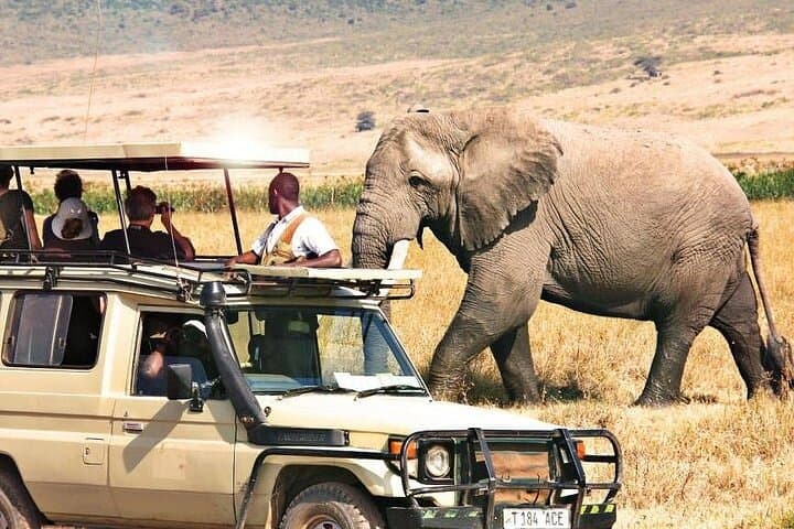 3-Day Samburu Private Safari: Oryx, Grevy's Zebra & River Game Drives