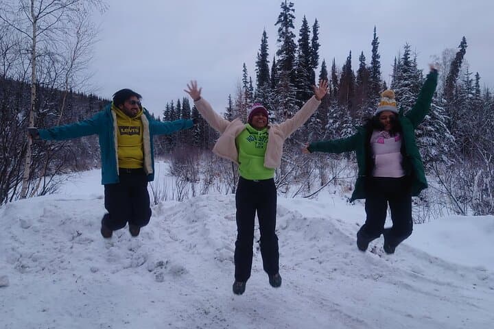 Driving to the Edge: Full-Day Arctic Circle Tour from Fairbanks along the Dalton Highway photo 4