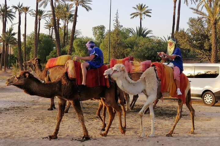 Camel Riding in the Marrakech Palmeraie: A 2.5-Hour Oasis Ride & Village Tea Experience photo 5