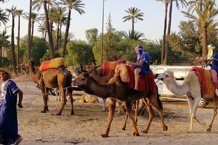 Camel Riding in the Marrakech Palmeraie: A 2.5-Hour Oasis Ride & Village Tea Experience photo 6