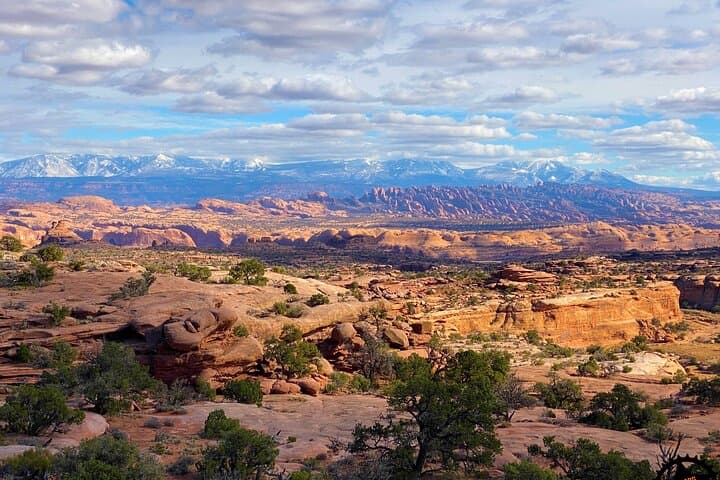 Dead Horse Point Half-Day Guided Mountain Biking — Panoramas, Beginner Trails & Pro Guides photo 2