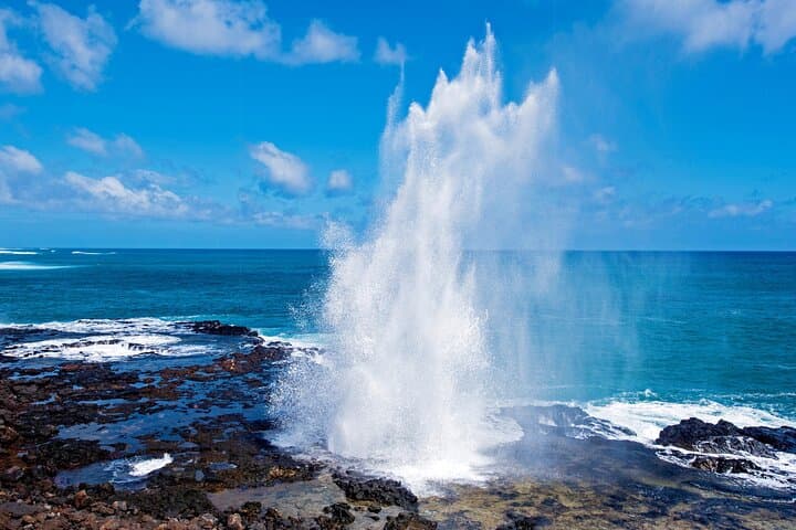 Waimea Canyon & South Shore: Kauai Small-Group Highlights Tour