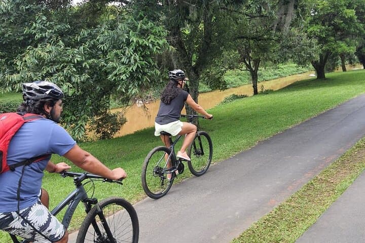 Interparks Cycling Tour Curitiba — Bike the City's Parks and Memorials