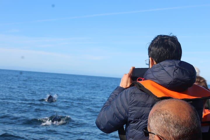 Dolphin Watching from Faro: Ria Formosa Boat Tour photo 4