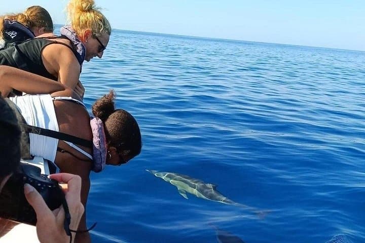 Dolphin Watching and Ilha Deserta + Ilha do Farol Day Tour from Faro photo 4
