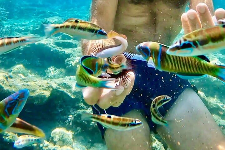 Sail the Costa degli Dei: 4-Hour Private Tropea Boat Tour with Snorkeling and Aperitif photo 5