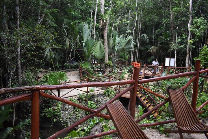 Explore Puerto Morelos: Swim Three Cenotes and Zip Line Adventure photo 5