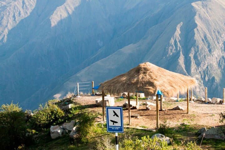 Chonta Condor Viewpoint: Full-Day Condor Watching & Andean Views from Cusco photo 4
