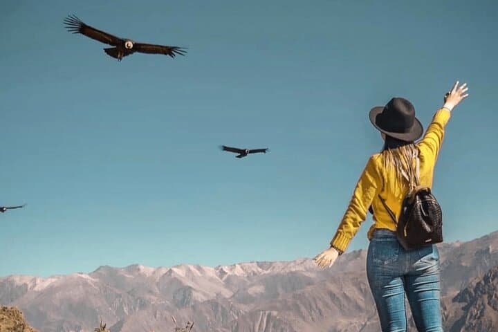 Chonta Condor Viewpoint: Full-Day Condor Watching & Andean Views from Cusco photo 3
