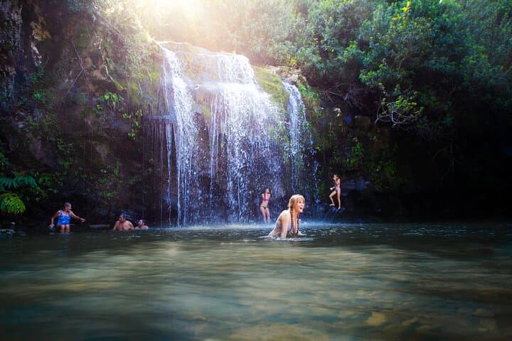 Kohala Zip and Dip Adventure on Hawaii’s Big Island: Zipline, Hike & Waterfall Swim photo 2