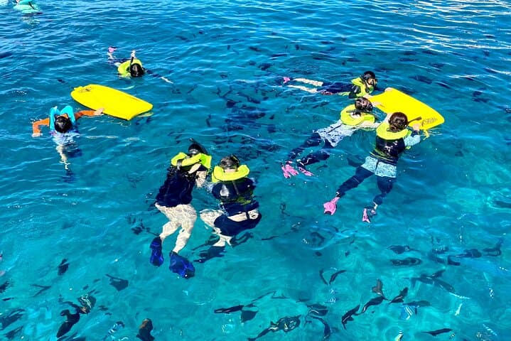 Deluxe Turtle Snorkel Catamaran in Waikiki — Snorkel, SUP & Sea Scooters photo 4