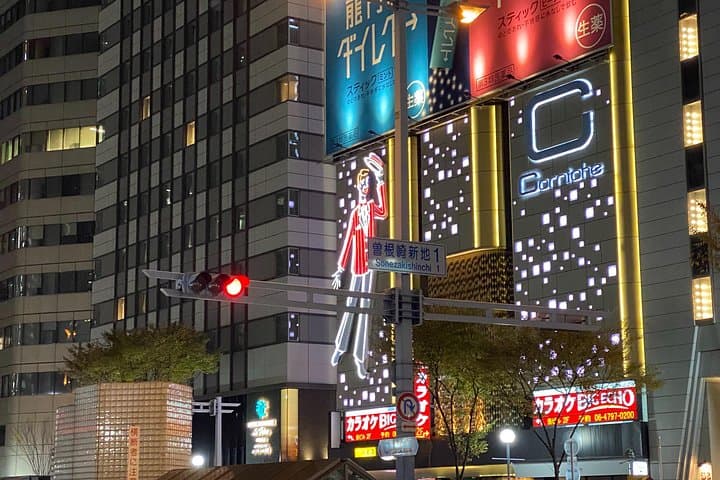 Osaka City Highlights Walking Tour: Sky Building, Osaka Castle & Dotonbori Food Walk photo 3