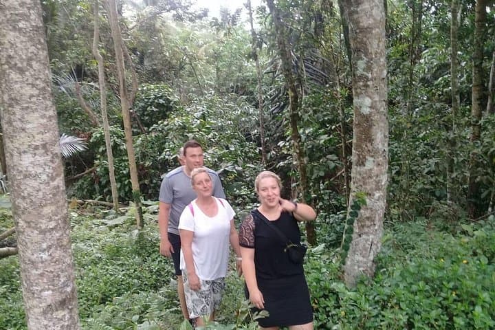 Keliki Village Rice Field Walk: Half-Day Ubud Trek with Local Lunch photo 3