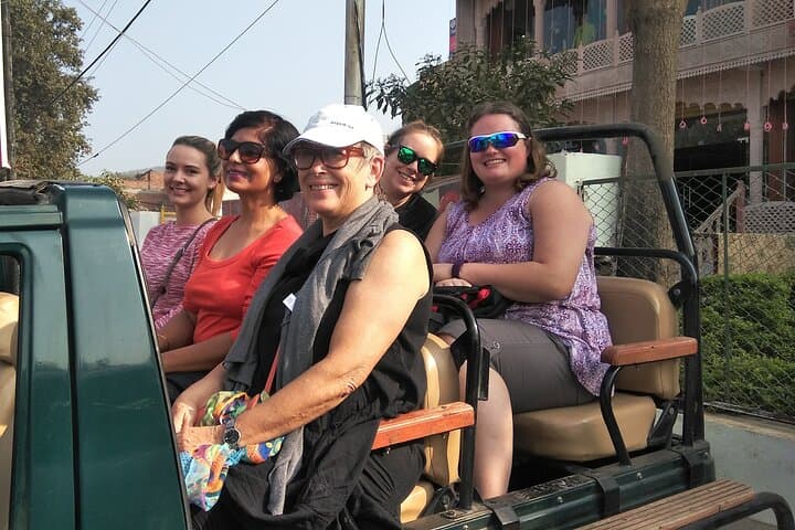 Ranthambore Jeep Safari: How to Spot Tigers & Wildlife in Rajasthan photo 2