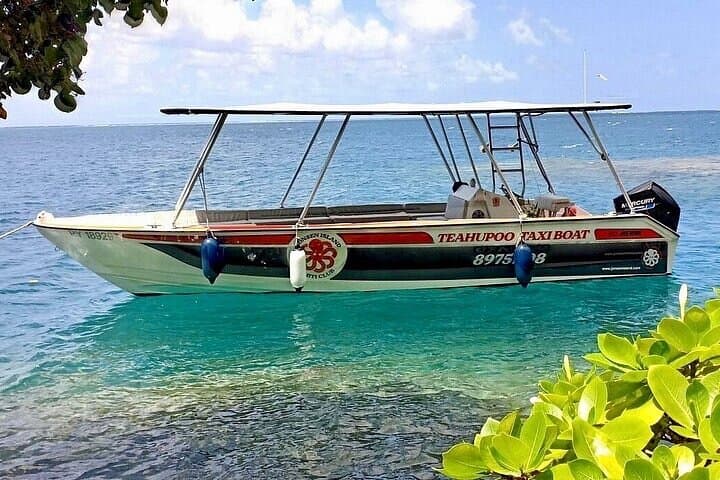 Tahiti Full-Day Island Tour with Paragliding and Teahupo'o Taxi Boat photo 6